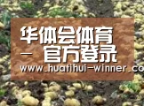 种植基地八(图1)