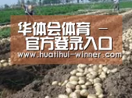 种植基地七(图1)