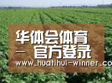 种植基地五