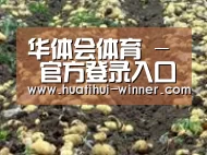 种植基地七