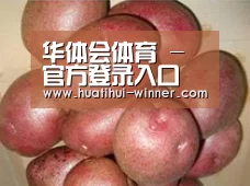 产品展示标题1