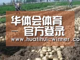种植基地八