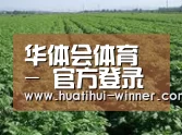 种植基地五(图1)