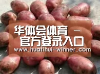产品展示标题5(图1)