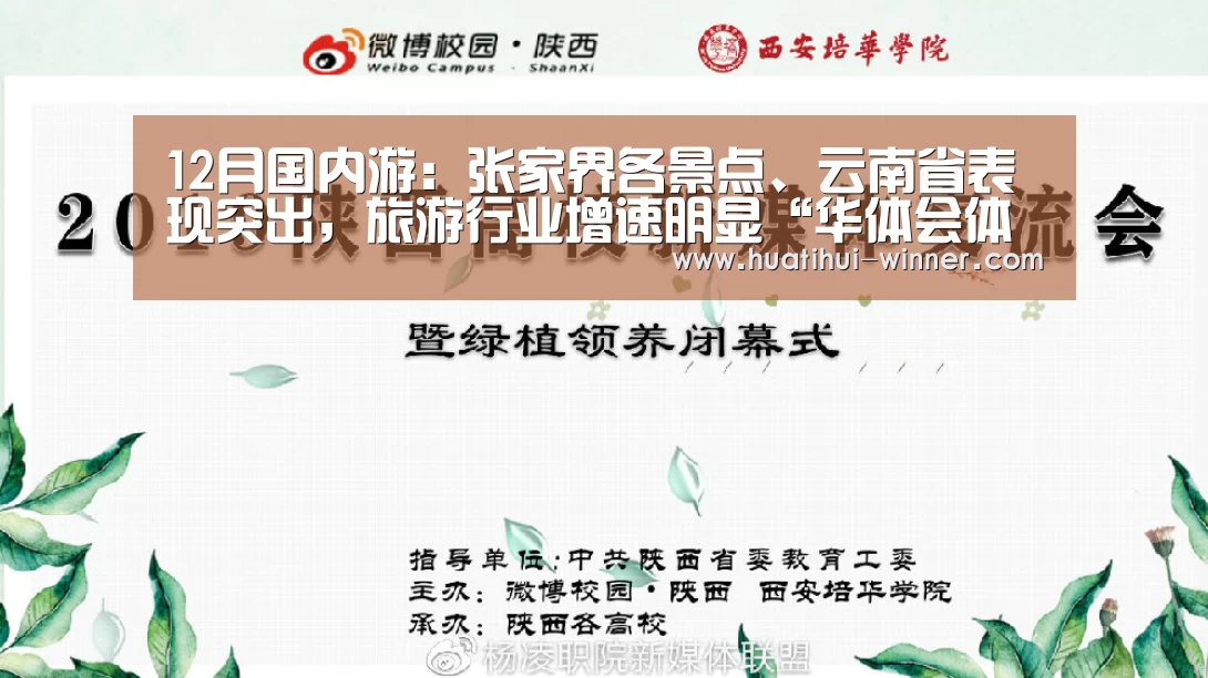 华体会官方入口
