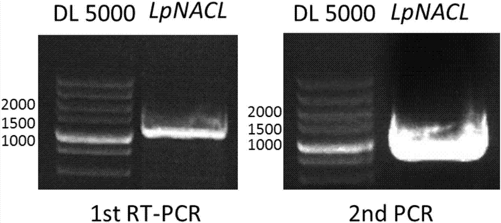 华体会官网