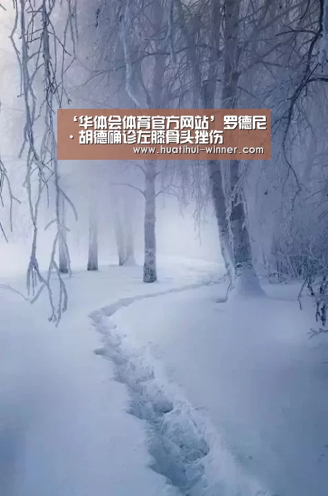 ‘华体会体育官方网站’罗德尼·胡德确诊左膝骨头挫伤(图2) 华体会官网